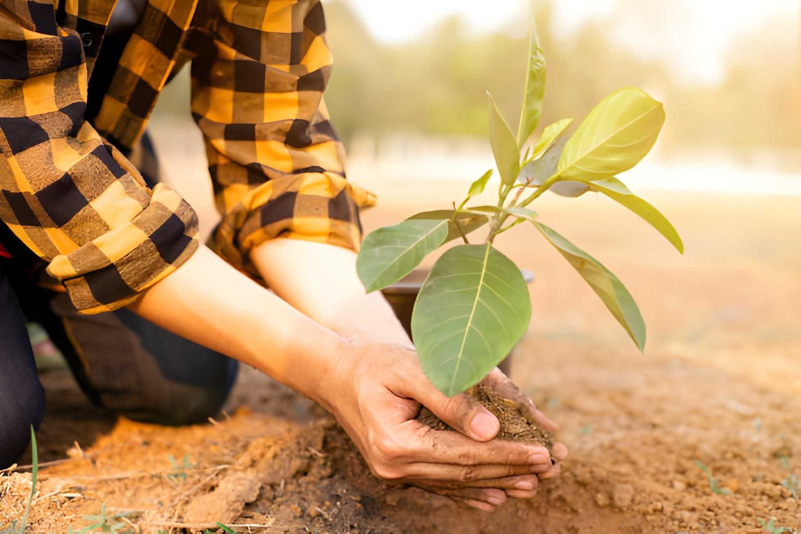 Sustainable Agriculture Workshops